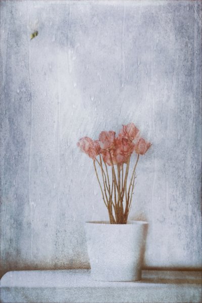  - Delphine Devos