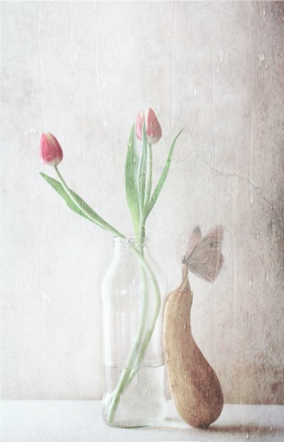  - Delphine Devos