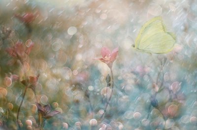  - Delphine Devos