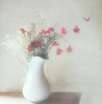  - Delphine Devos