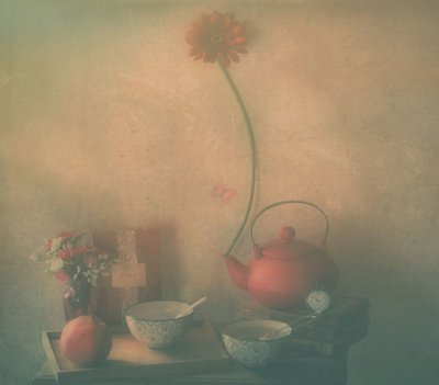  - Delphine Devos