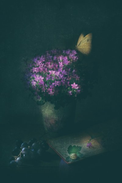  - Delphine Devos
