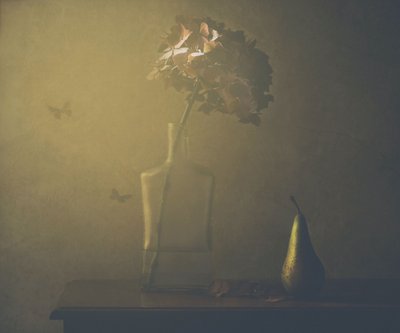 - Delphine Devos
