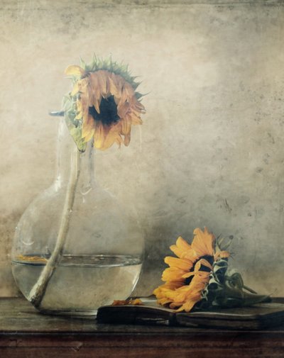  - Delphine Devos