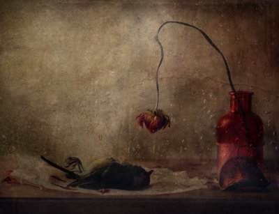  - Delphine Devos