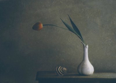  - Delphine Devos