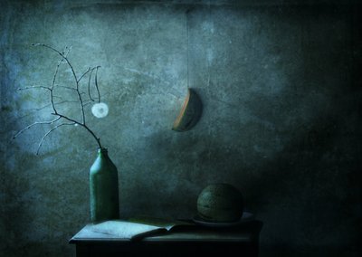  - Delphine Devos