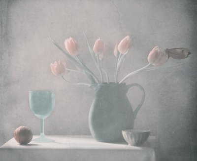  - Delphine Devos