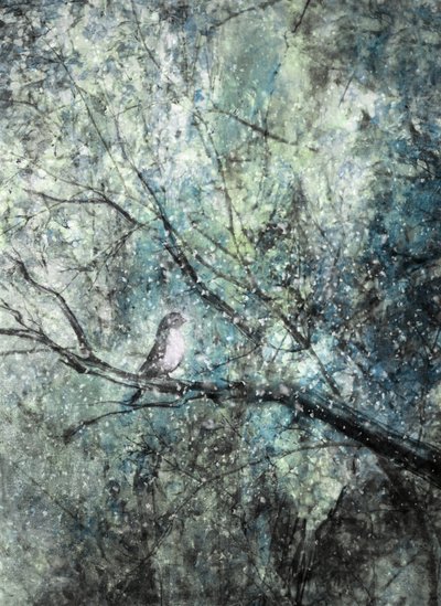 Oiseau d