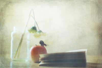  - Delphine Devos