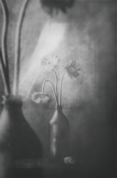  - Delphine Devos