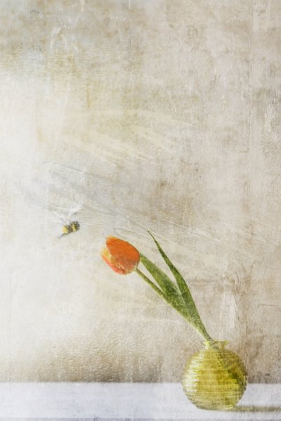  - Delphine Devos