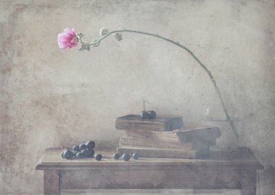  - Delphine Devos