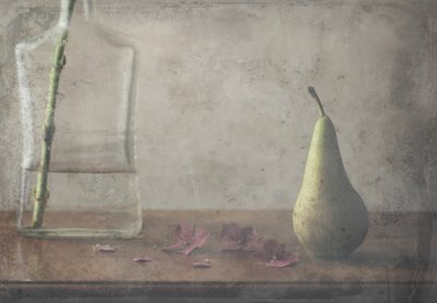  - Delphine Devos