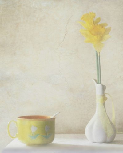 Nature morte aux jonquilles jaunes - Delphine Devos