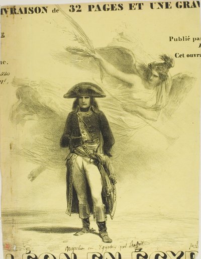 Napoléon en Egypte - Denis Auguste Marie Raffet
