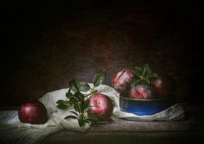 Nature morte aux prunes mélancoliques - Denis O Reilly