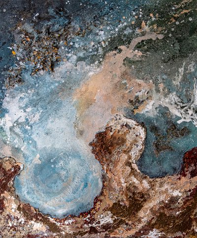 Profil abstrait et naturel - Denise Quah