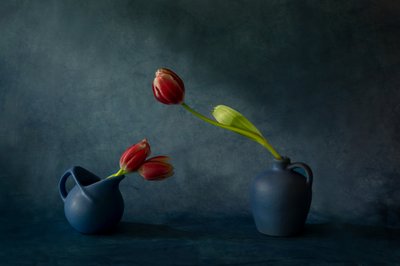 Nature morte élégante aux tulipes - Dennis Zhang