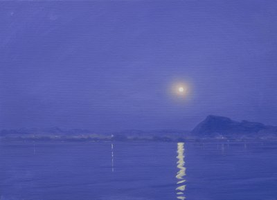 Clair de lune sur Udaipur - Derek Hare