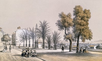 Vue de la promenade des palmiers à Hyères sur la Côte d