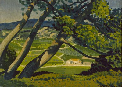 Arbres, Provence, 1912 - Derwent Lees