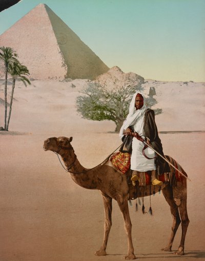 Bédouin sur un chameau et la Grande Pyramide, Le Caire, Égypte - Detroit Photographic Co.