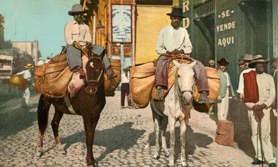 Hommes aux légumes, La Havane, Cuba, 1904 - Detroit Photographic Company