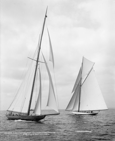 Shamrock II et Columbia au départ de la Coupe de l