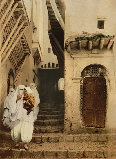 Rue des chameaux, Alger, vers 1899 (photochromie) - Detroit Publishing Co.