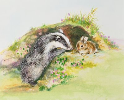 Blaireau et un lapin - Diane Matthes
