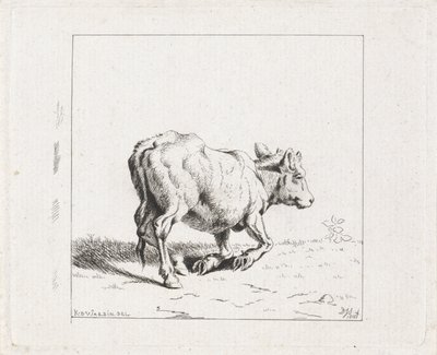 Veau se levant - Diederik Jan Singendonck