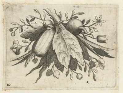 Feston de fruits - Dietrich Krüger (attributed to)