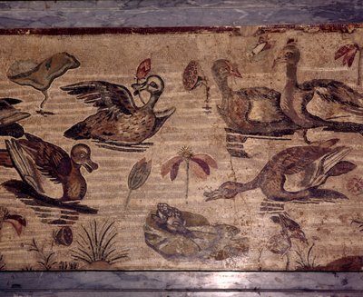 Mosaïque Romaine de Pompéi de canards et grenouilles dans un jardin aquatique - Dioscurides of Samos