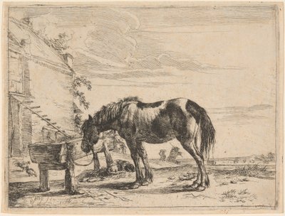 Un cheval attaché à une mangeoire - Dirck Stoop