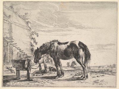 Cheval attaché à une mangeoire - Dirck Stoop