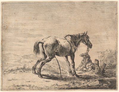 Cheval cabré près d