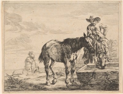 Deux chevaux buvant à un abreuvoir - Dirck Stoop