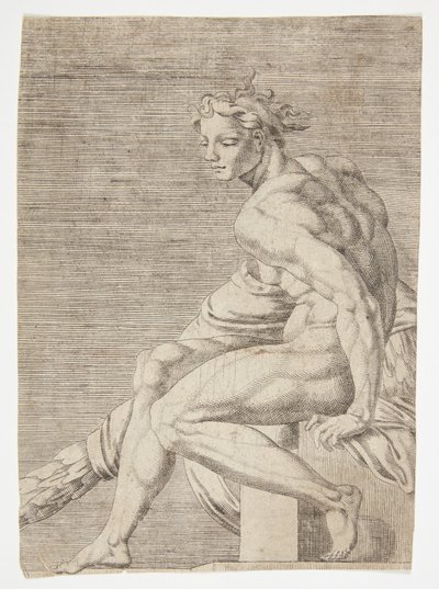 Nu de la Chapelle Sixtine - Dirck Volckertsz. Coornhert