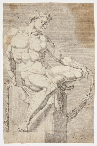 Nu de la Chapelle Sixtine - Dirck Volckertsz. Coornhert