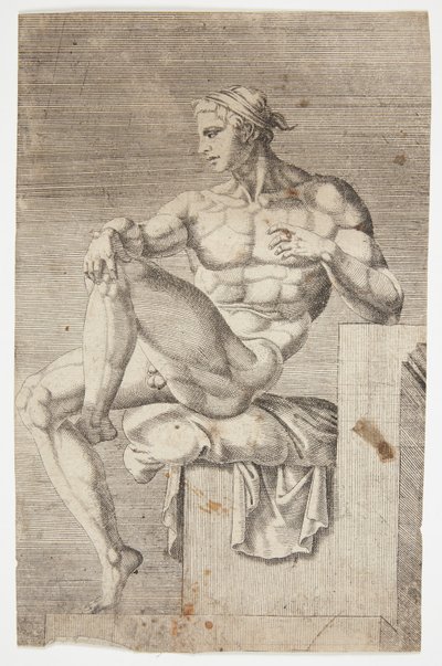 Nu de la chapelle Sixtine - Dirck Volckertsz. Coornhert