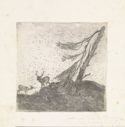 Deux cerfs près d
