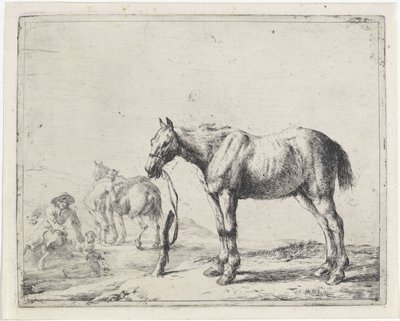 Cheval attaché à un poteau vers la gauche - Dirk Stoop