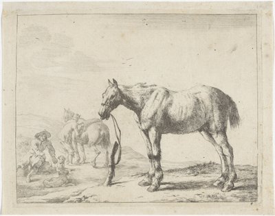 Cheval attaché à un poteau, vers la gauche - Dirk Stoop
