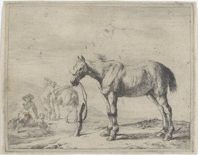 Cheval attaché à un poteau, vers la gauche - Dirk Stoop