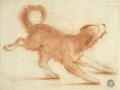 Un chien qui grogne, prêt à bondir - Dirk Valkenburg