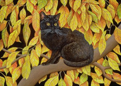 Feuilles d