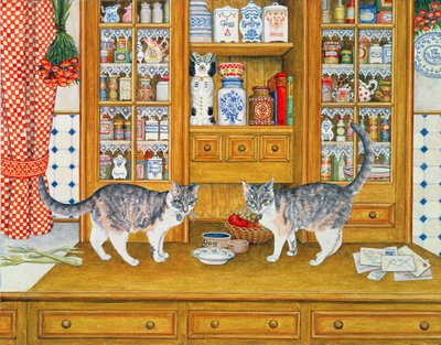Chats de Dresser - Ditz
