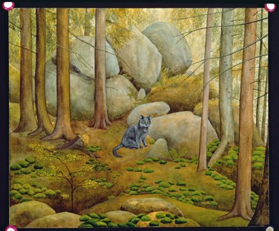 Dans le bois - Ditz