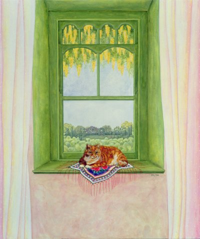 Chat de Laburnum - Ditz
